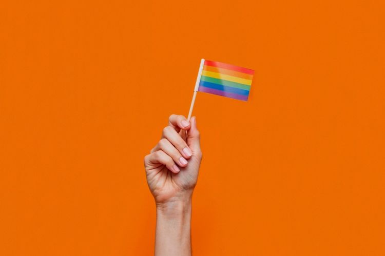 LGBTQ+ vėliava // Nuotr. magnific.com
