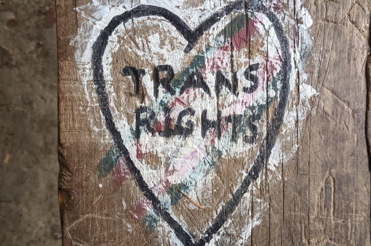Trans teisės // Nuotr. Sierra Houk 