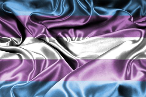 Translyčių žmonių vėliava // Nuotr. Lena Balk 