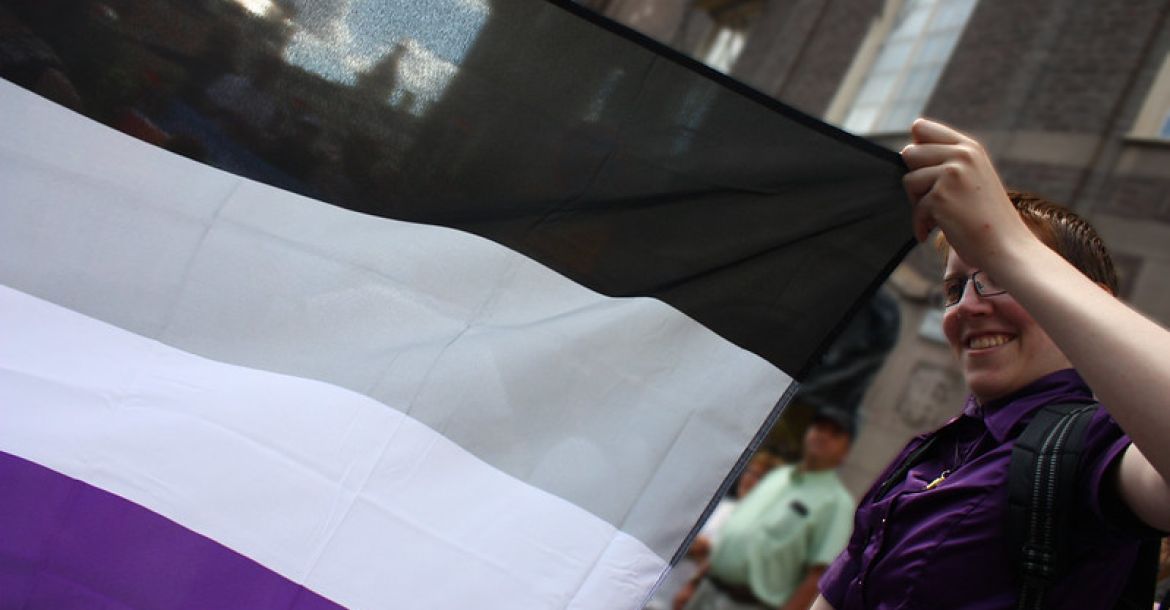 Aseksualų bendruomenės vėliava // Nuotr.  trollhare iš Flickr