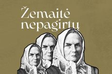 Iniciatyvos vizualizacija