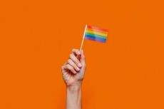 LGBTQ+ vėliava // Nuotr. magnific.com