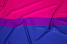 Biseksualų vėliava // Nuotr. Vectonauta iš freepik.com
